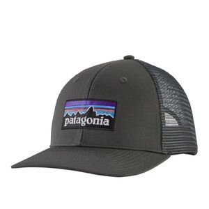 Patagonia P-6 LoPro trucker hat